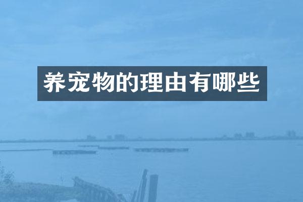 养宠物的理由有哪些