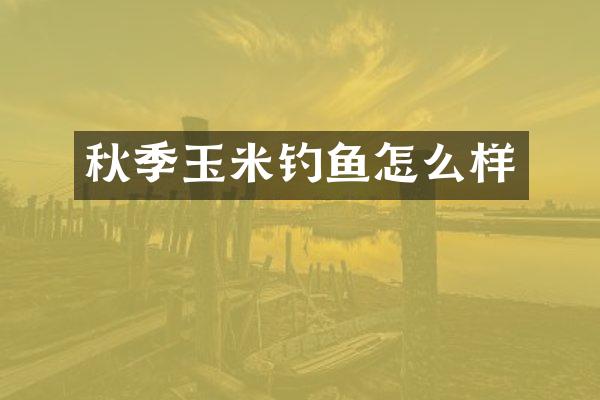 秋季玉米钓鱼怎么样