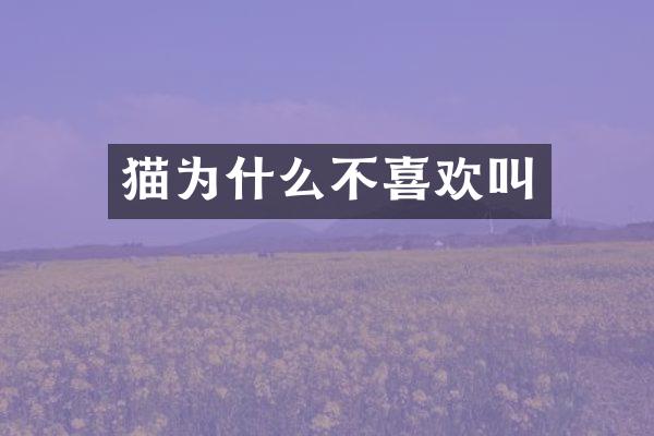 猫为什么不喜欢叫