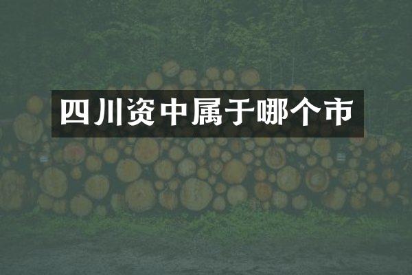 四川资中属于哪个市