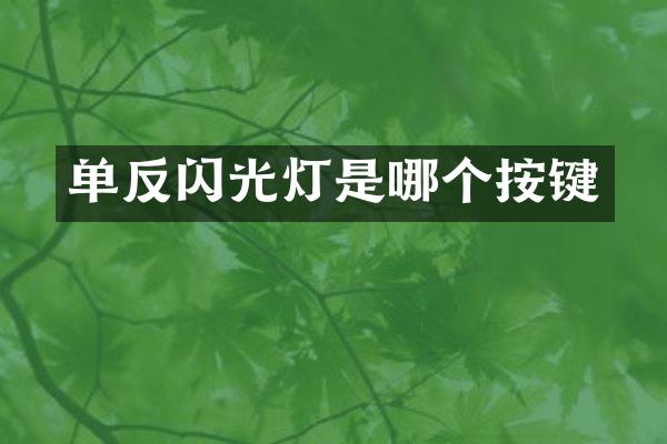 单反闪光灯是哪个按键