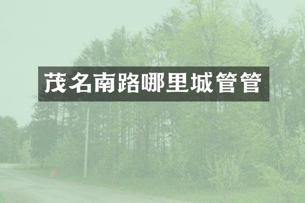 茂名南路哪里城管管