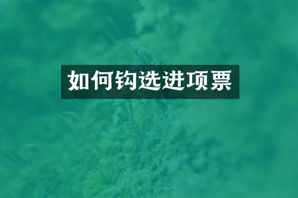 如何钩选进项票