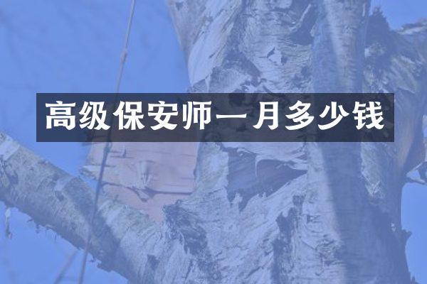 高级保安师一月多少钱