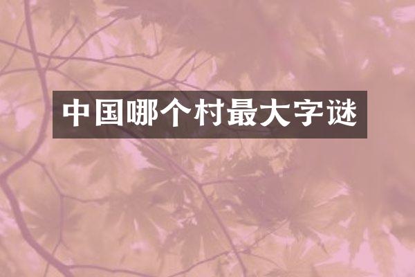 中国哪个村最大字谜