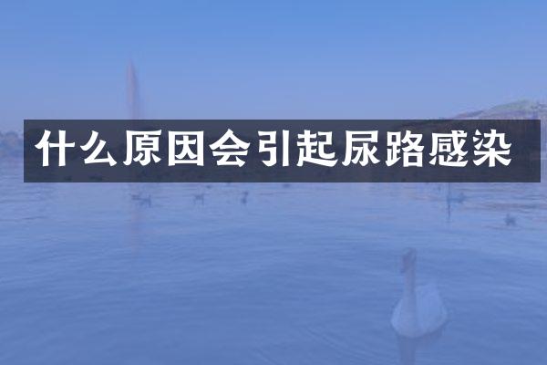 什么原因会引起尿路感染