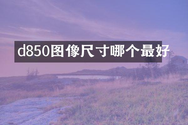 d850图像尺寸哪个最好