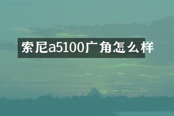 a5100广角怎么样