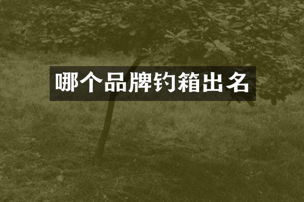 哪个品牌钓箱出名