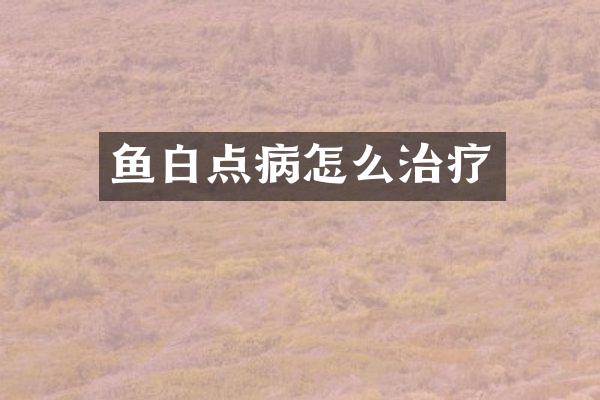 鱼白点病怎么治疗