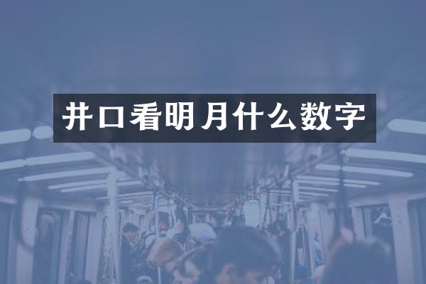 井口看明月什么数字