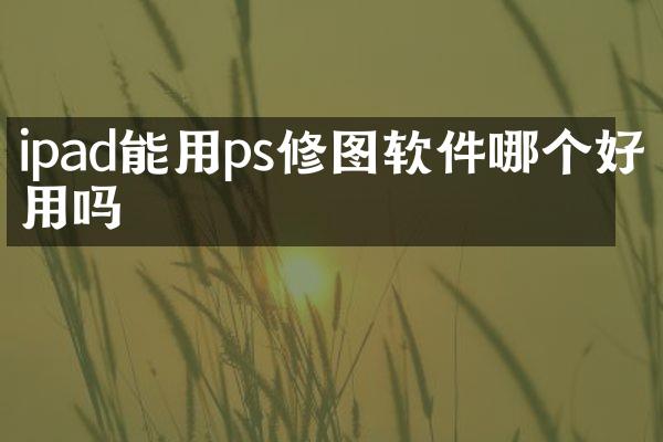 ipad能用ps修图软件哪个好用吗