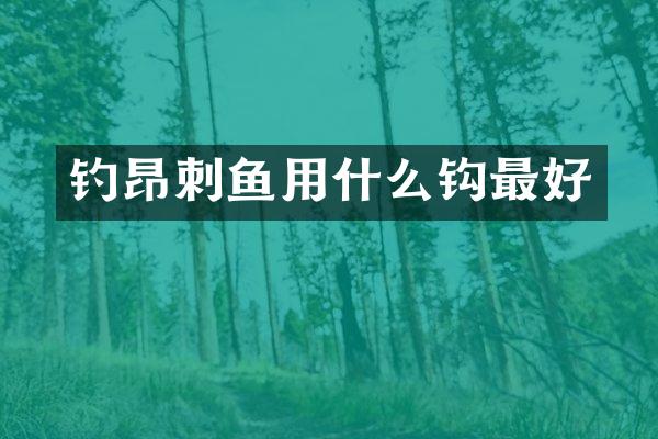 钓昂刺鱼用什么钩最好