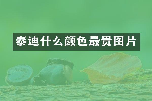 泰迪什么颜色最贵图片