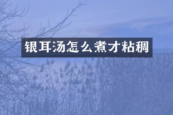 银耳汤怎么煮才粘稠