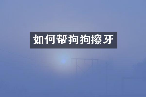 如何帮狗狗擦牙