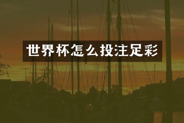 世界杯怎么投注足彩