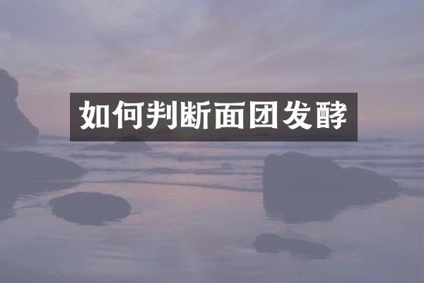 如何判断面团发酵