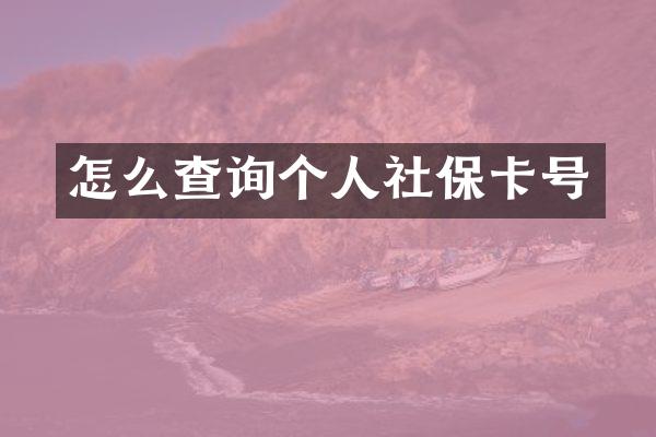 怎么查询个人社保卡号