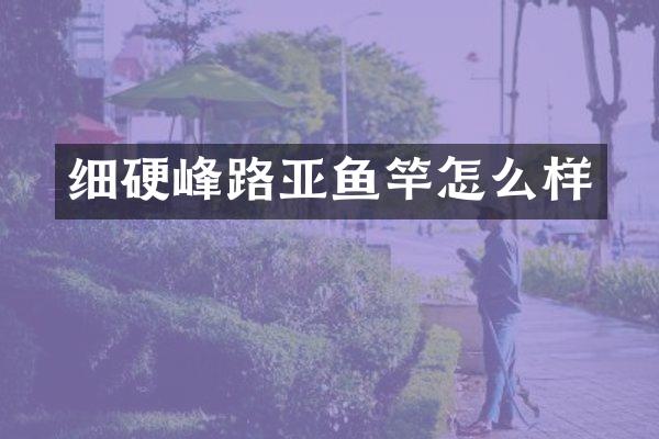 细硬峰路亚鱼竿怎么样