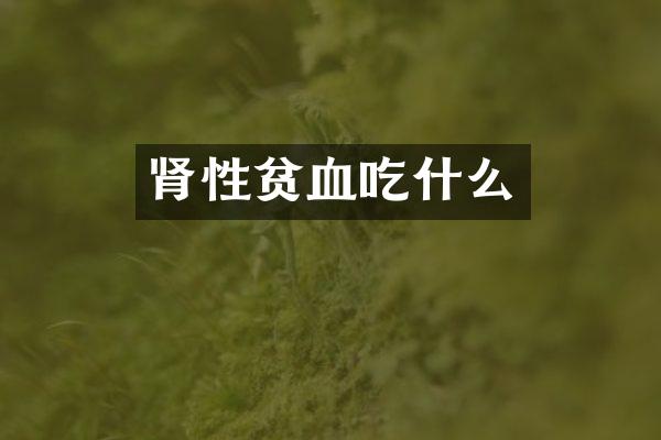 肾性贫血吃什么