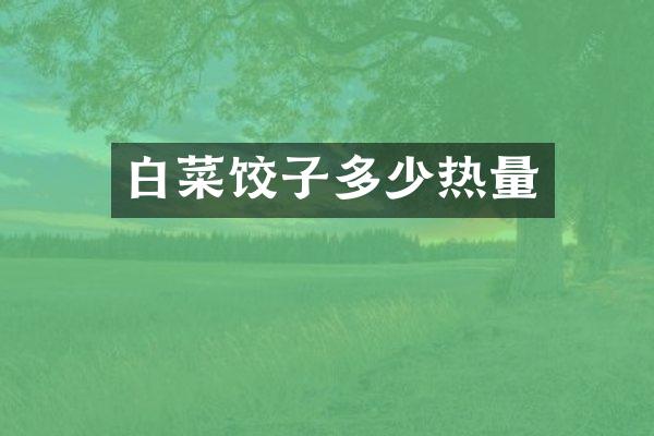 白菜饺子多少热量
