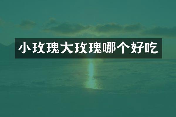 小玫瑰大玫瑰哪个好吃