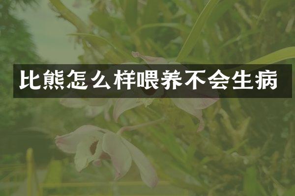 比熊怎么样喂养不会生病