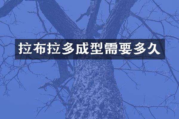 拉布拉多成型需要多久