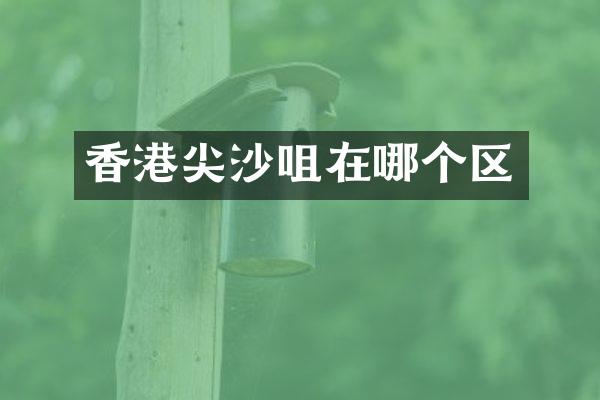 香港尖沙咀在哪个区