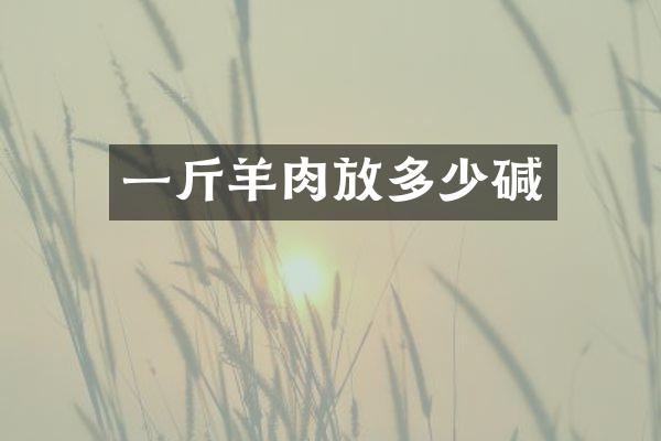 一斤羊肉放多少碱
