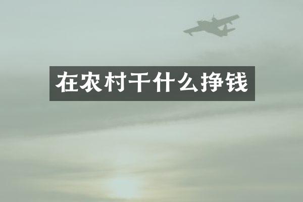 在农村干什么挣钱