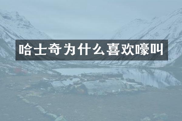 哈士奇为什么喜欢嚎叫