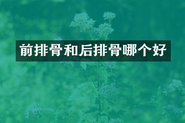 前排骨和后排骨哪个好