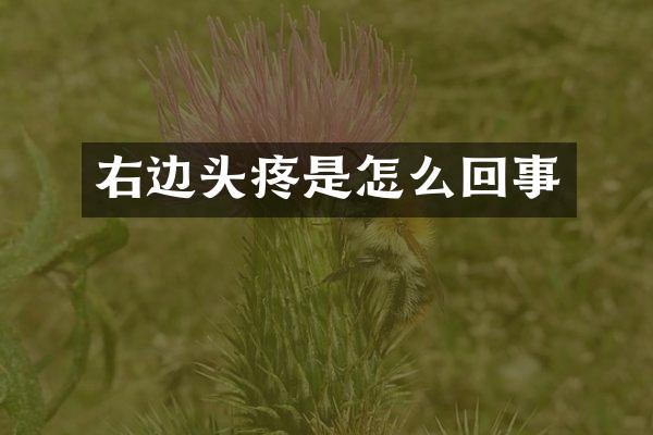 右边头疼是怎么回事