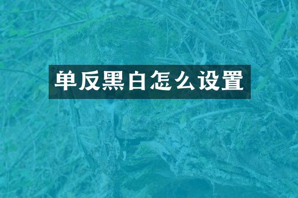 单反黑白怎么设置