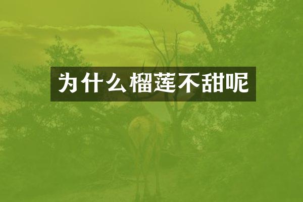 为什么榴莲不甜呢