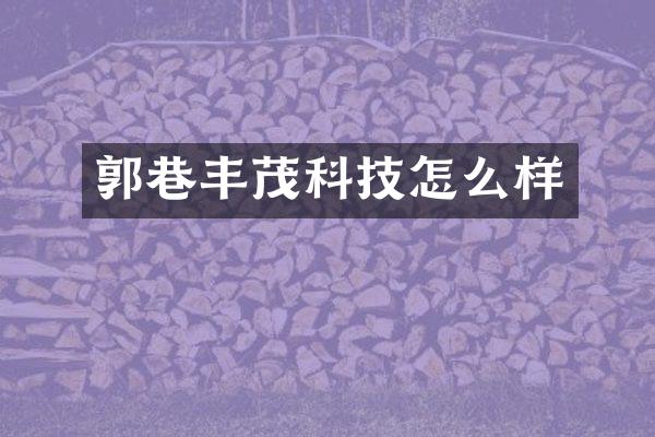 郭巷丰茂科技怎么样