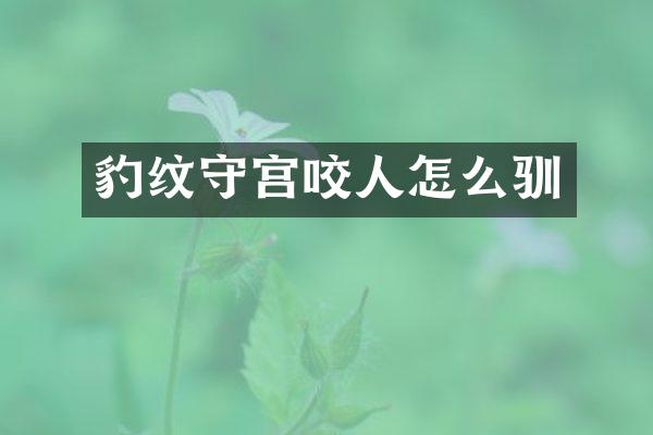 豹纹守宫咬人怎么驯