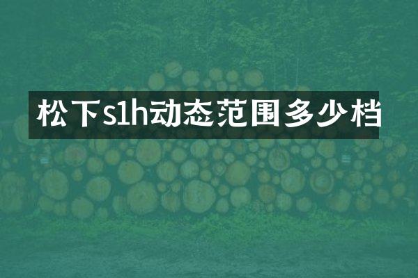 s1h动态范围多少档