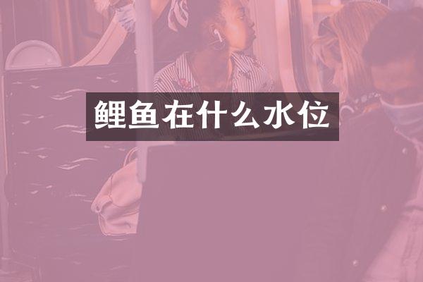 鲤鱼在什么水位