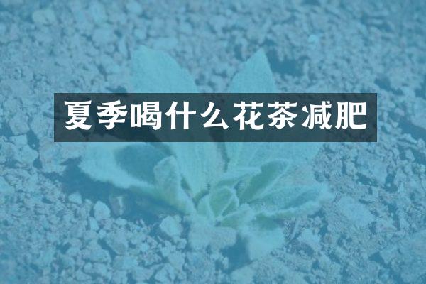 夏季喝什么花茶减肥