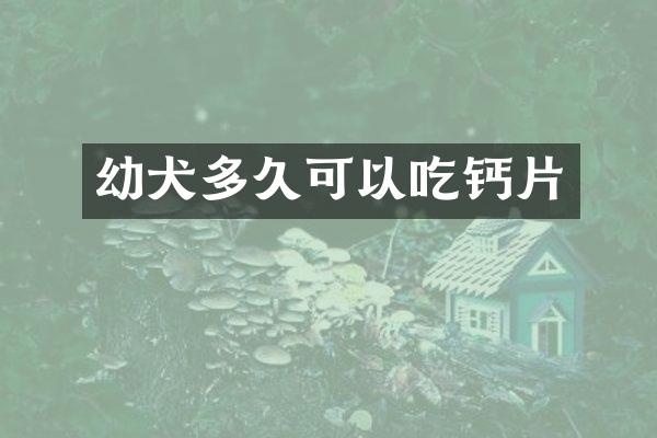 幼犬多久可以吃钙片