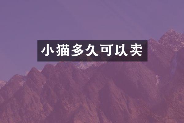 小猫多久可以卖