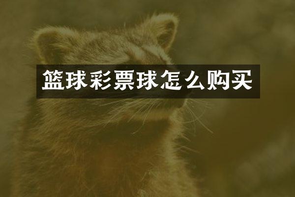 篮球彩票球怎么购买