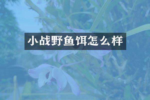 小战野鱼饵怎么样