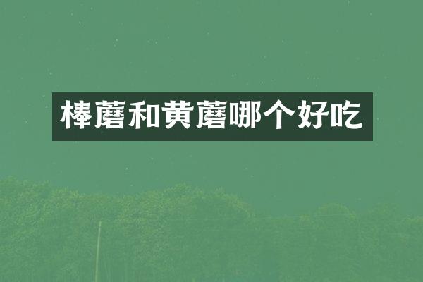 棒蘑和黄蘑哪个好吃