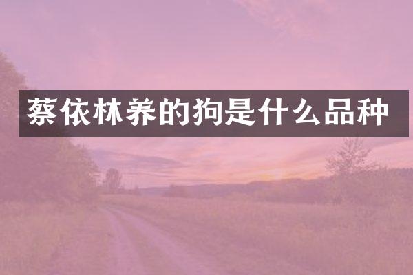 蔡依林养的狗是什么品种