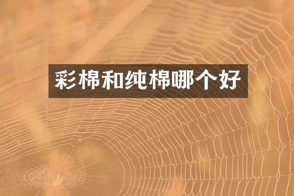 彩棉和纯棉哪个好