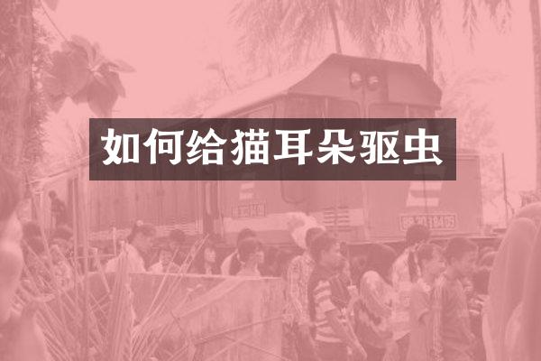 如何给猫耳朵驱虫